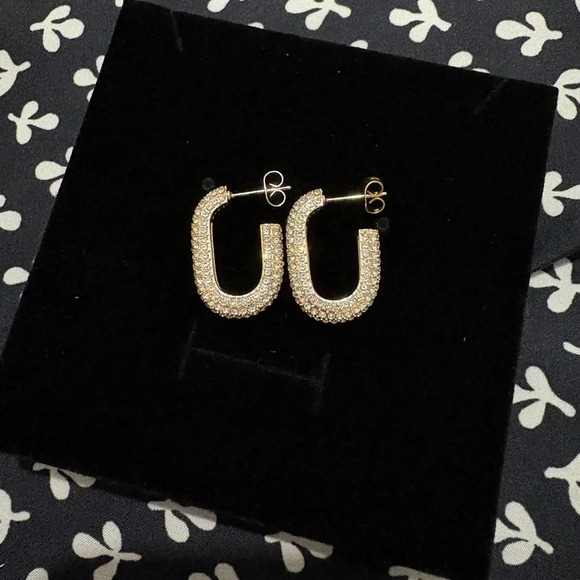 Oval Pavé Hoop - Picture 1 of 3